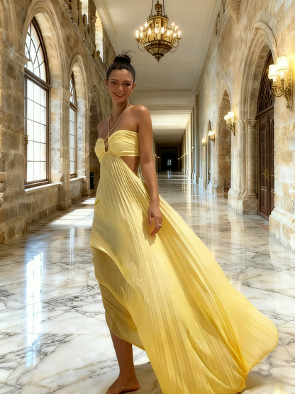 New Arrival Prom Dress Halter Pleated Birthday Party Dress Evening Dress   D3468