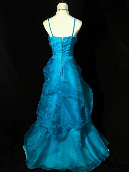 Vintage Prom Dress Spaghetti StrapsTulle Evening Dress Birthday Party Dress  D3525