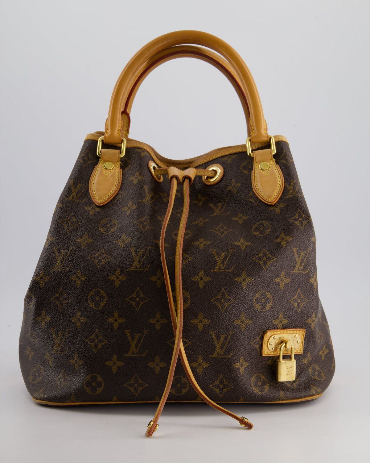 Louis Vuitton Brown Monogram Eden Neo Bag with Gold Hardware