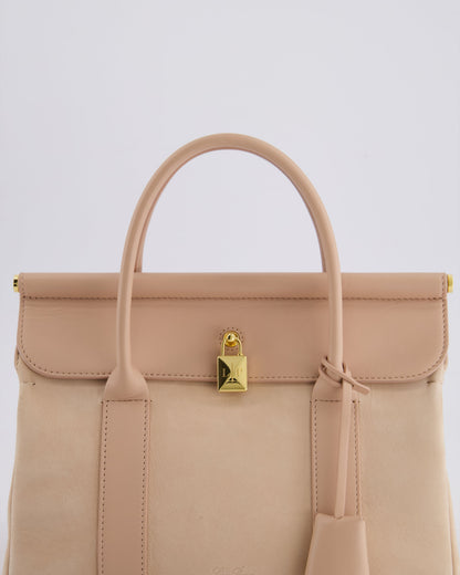 Loro Piana Pink Loom 25 Bag in Suede and Calfskin Leather with Gold Hardware RRP £3,410