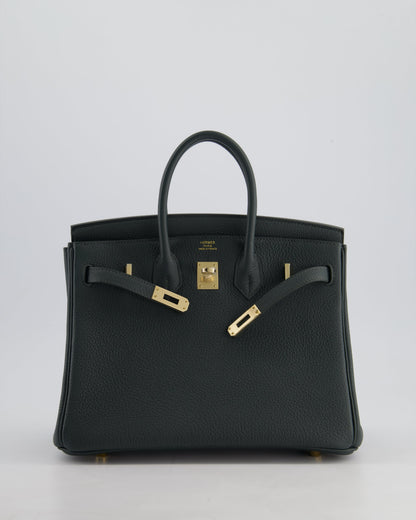 Hermès Birkin 25cm Retourne Bag in Vert Mangrove Togo Leather with Permabrass Hardware