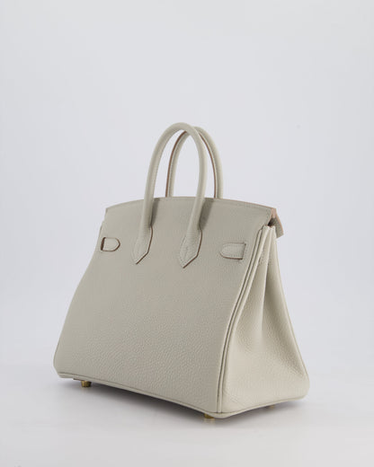 Hermès Birkin 25cm Retourne Bag in Gris Perle Togo Leather with Gold Hardware