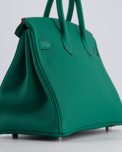 Hermès Birkin 25cm Retourne Bag in Vert Vertigo Togo Leather with Palladium Hardware