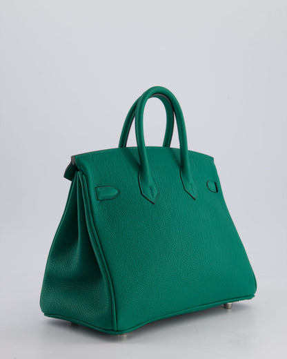Hermès Birkin 25cm Retourne Bag in Vert Vertigo Togo Leather with Palladium Hardware