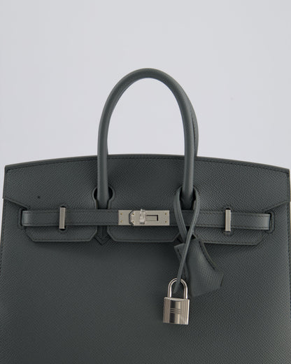 Hermès Birkin 25cm Sellier Bag in Vert Amande Togo Leather with Palladium Hardware