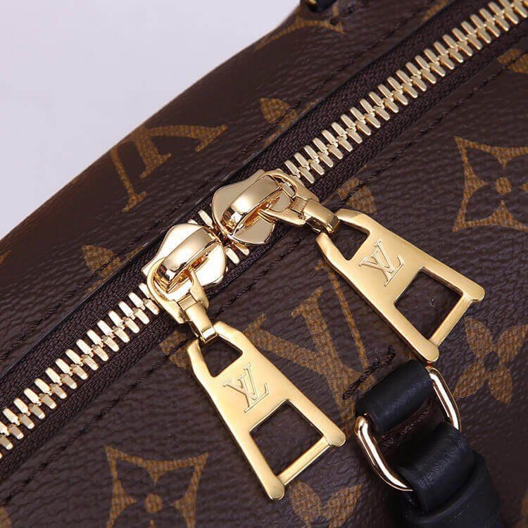 Louis Vuitton Petite Malle Souple Handbag M45571
