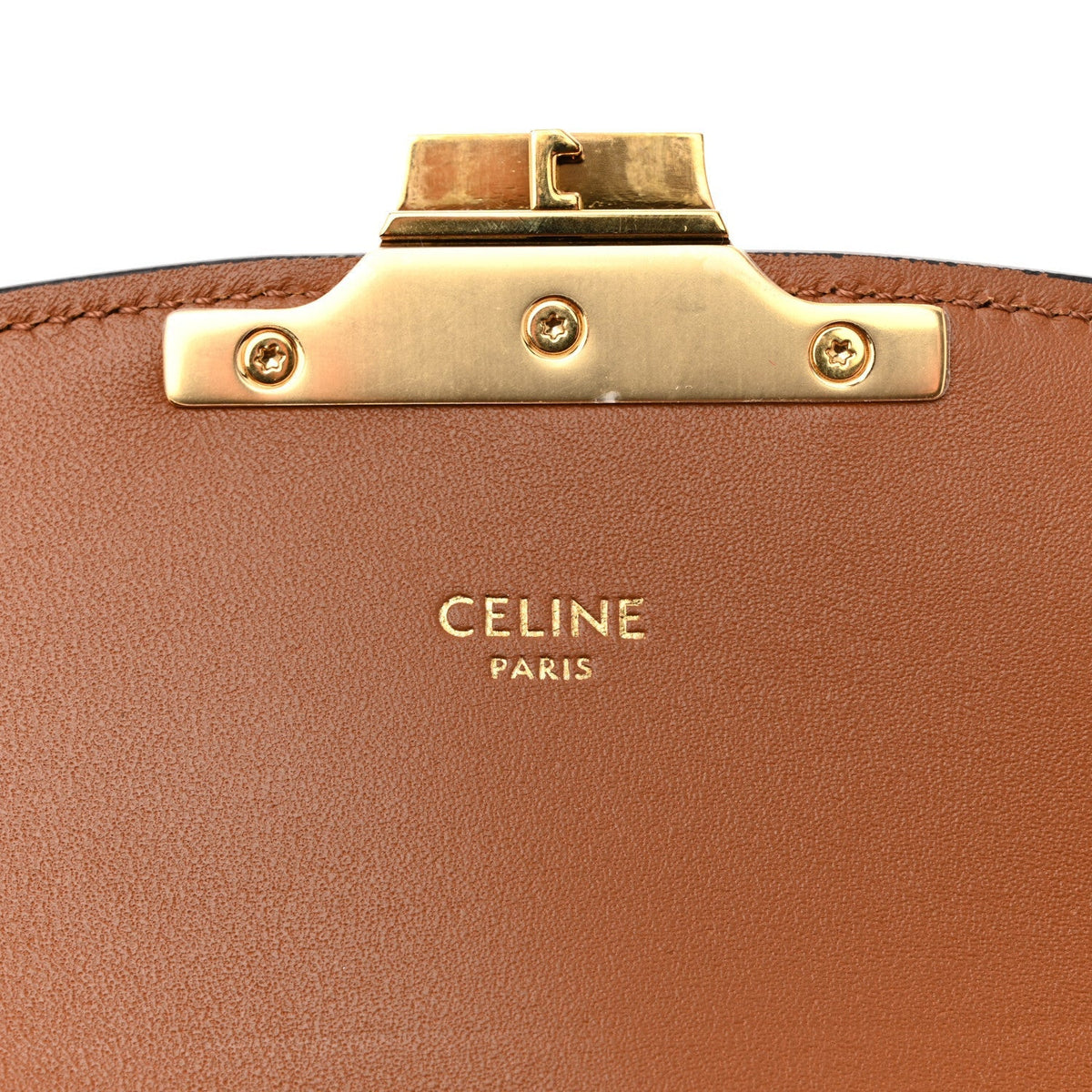 Calfskin Triomphe Canvas Teen Triomphe Bag Tan
