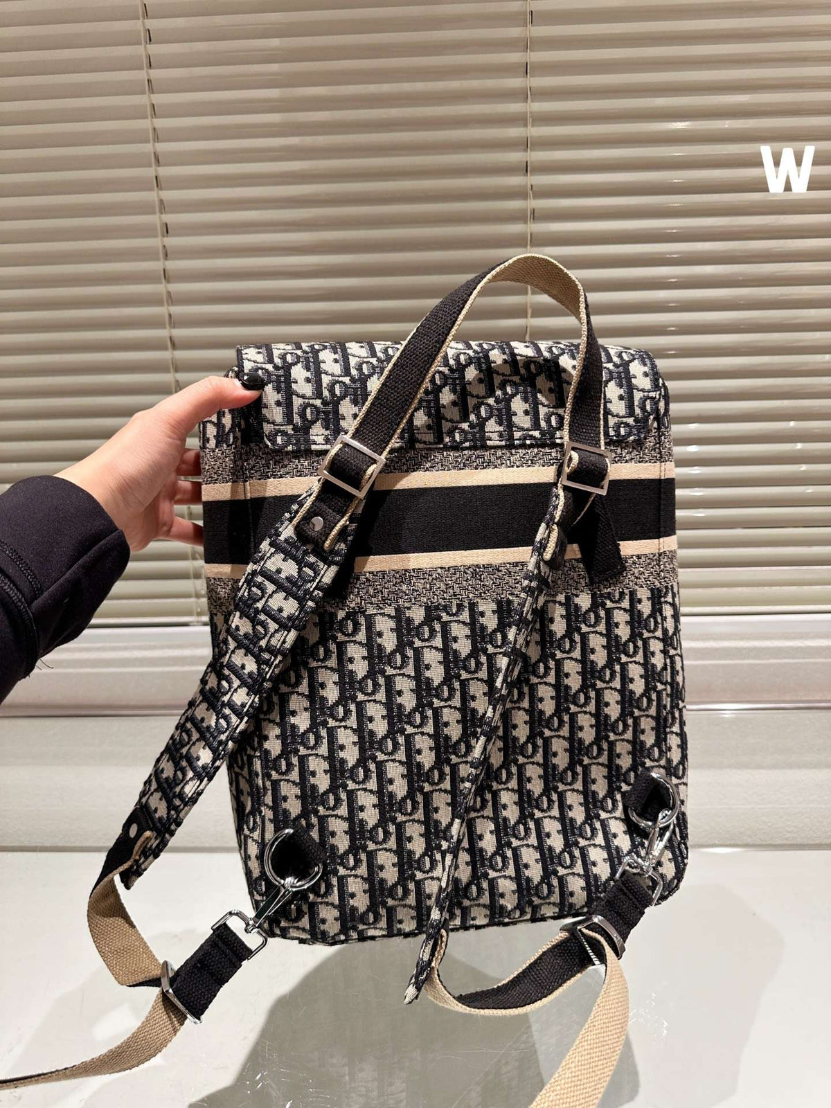 BALO Dior Backpack Blue Dior Oblique Embroidery
