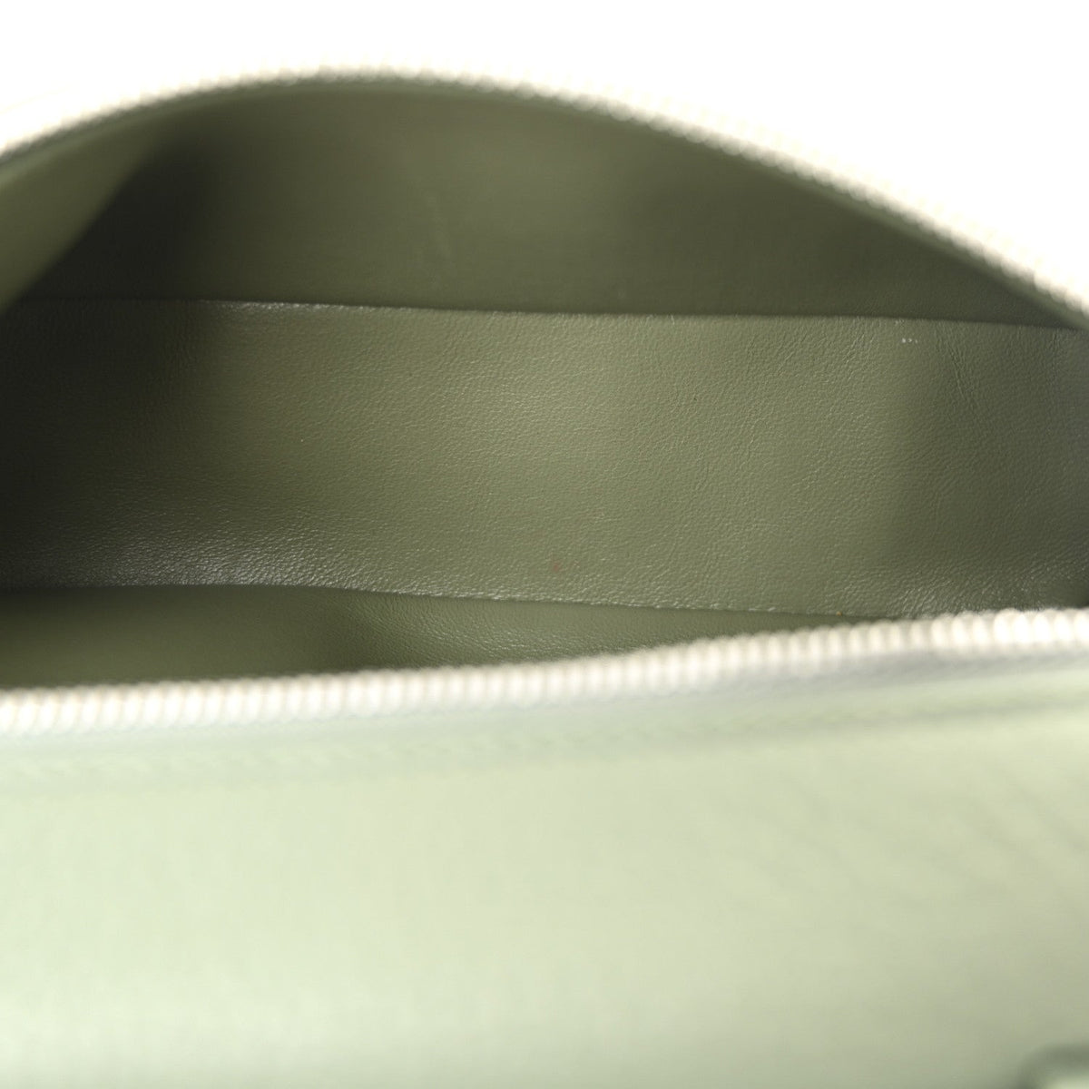 Grained Calfskin L19 Extra Pocket Pouch Sage Brush Leaves