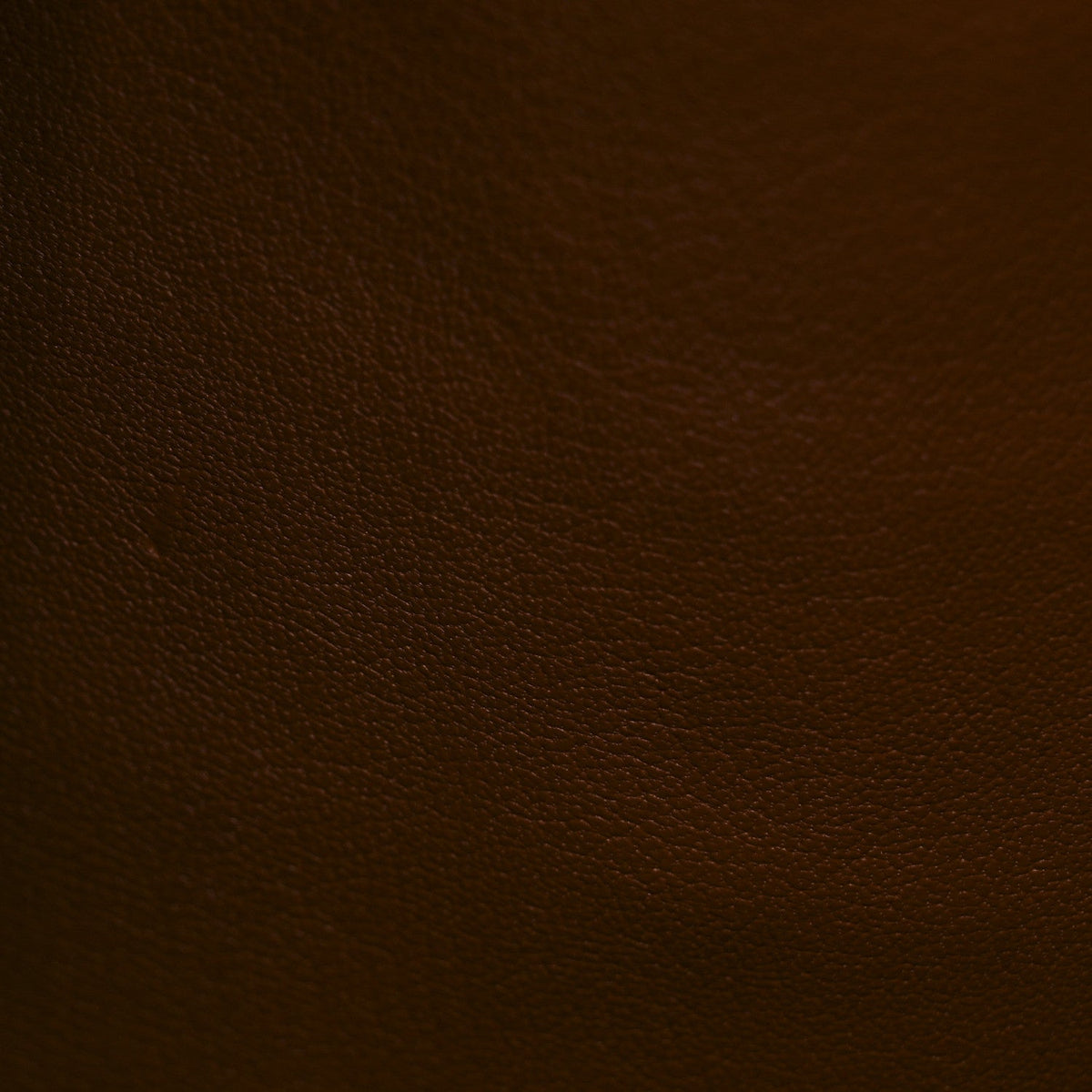 Alligator City Steamer MM Sienna Brown