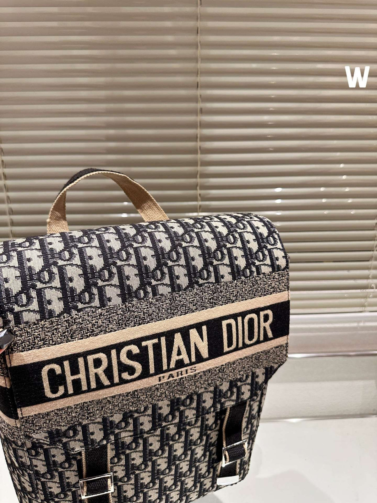 BALO Dior Backpack Blue Dior Oblique Embroidery