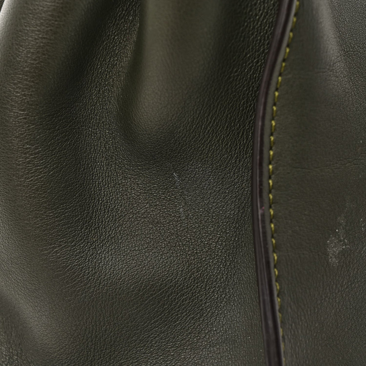 Vitello Seta Shiny Nappa Medium Peekaboo Iconic Satchel Verde Prato Makeup