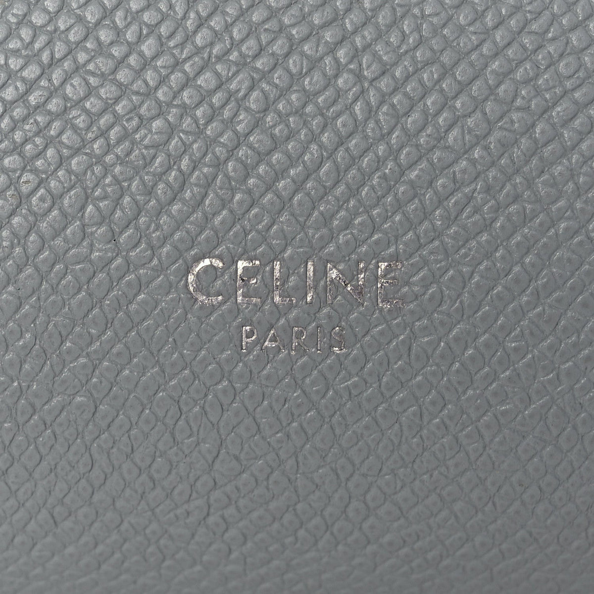 Grained Calfskin Nano Belt Bag Mineral