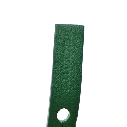 Goyardine Reversible Mini Anjou Green