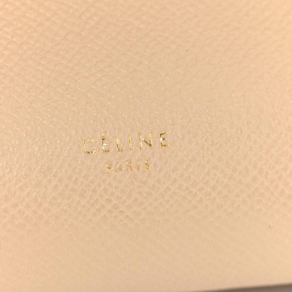 Baby Grained Calfskin Micro Belt Bag Light Taupe