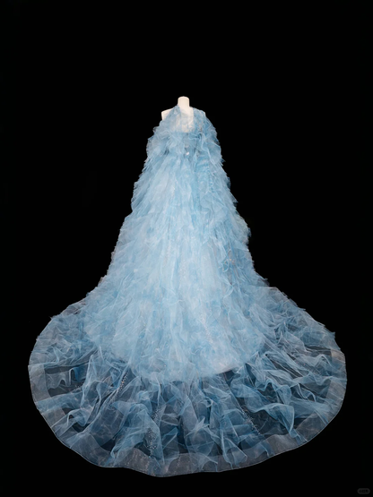 Gorgeous Blue Strapless A-Line Tulle Long Evening Dress Ball Gown Birthday Outfits, D814