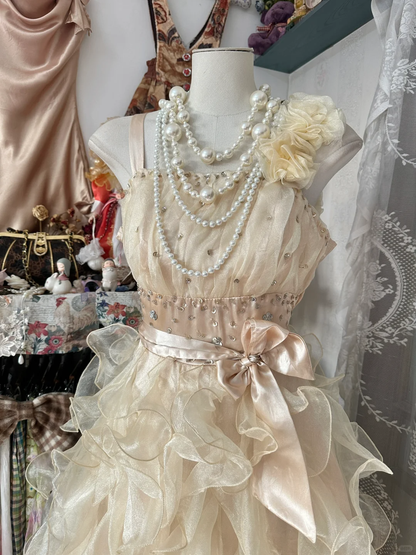 Champagne Straps A-Line Beading Organza Vintage Long Party Dress, D333