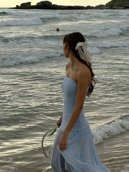 Blue Strapless A-Line Split Long Party Dress Wedding Guest Dress, D484