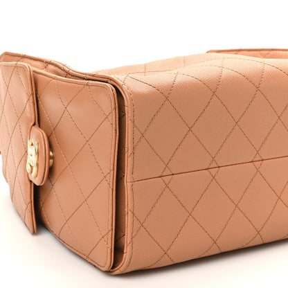 Caviar Quilted Small Chanel 25 Handbag Brown