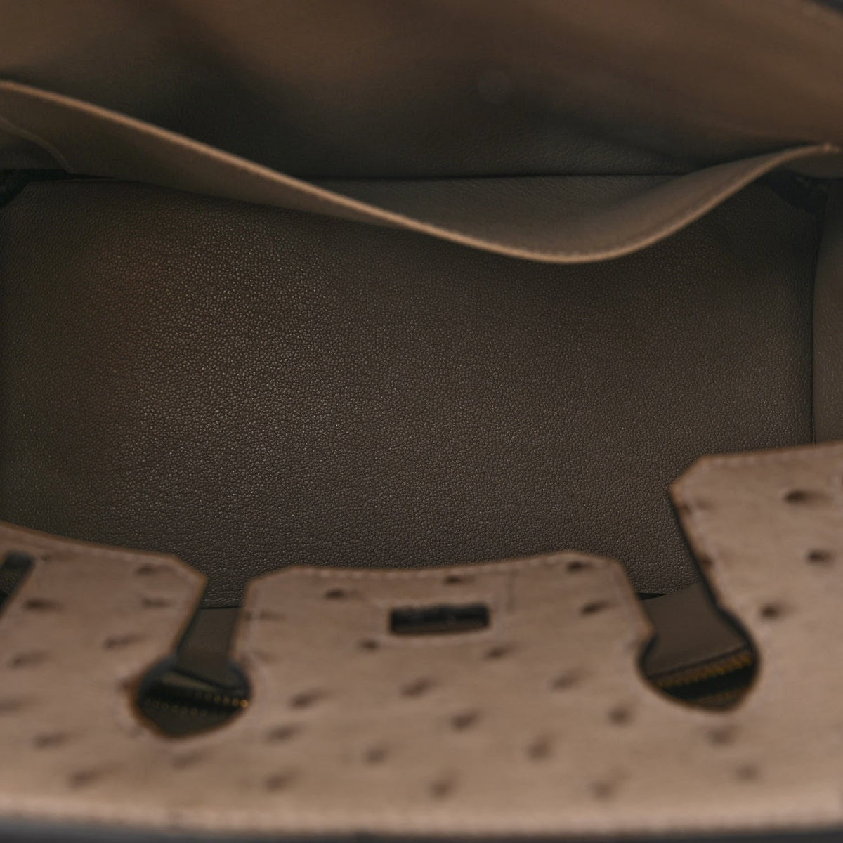 Ostrich Birkin 25 Gris Tourterelle