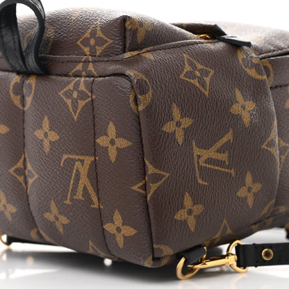 Monogram Palm Springs Backpack Mini