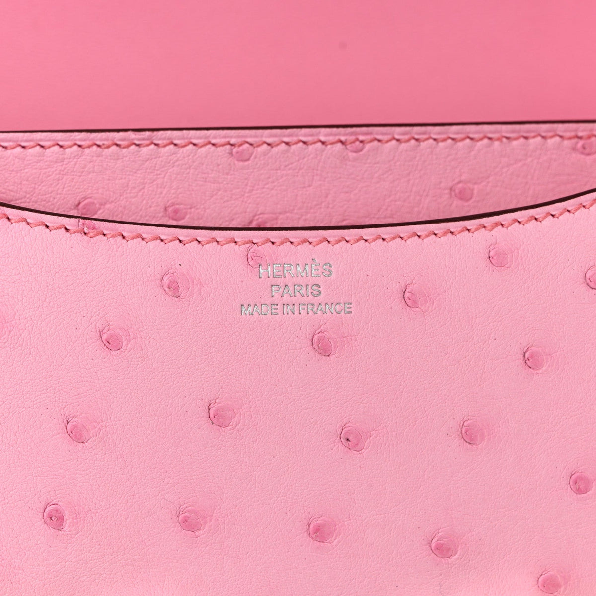 Ostrich Constance 18 Bubblegum
